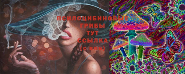 шишки Новодвинск